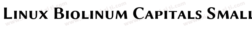 Linux Biolinum Capitals Small CapsV字体转换
